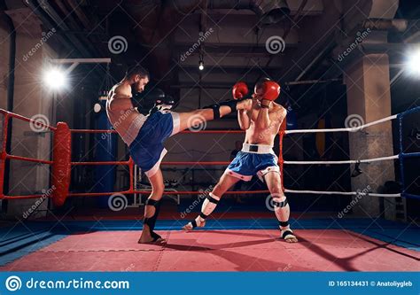 Boxers Training Kickboxing In The Ring At The Health Club Stock Image