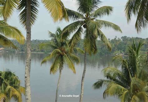 South Kerala Tour First Impressions For Your Trip Planning Places To