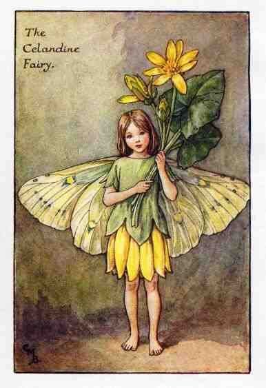 The Celandine Fairy Cicely Mary Barker Cicely Mary Barker Spring