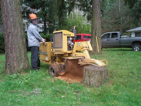 Professional Stump Grinding Services Arlington Washington Brads