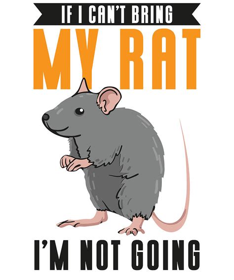 Pet Rats Rat Rotten Mice Mous Rex Rats Hairless Digital Art By Toms Tee