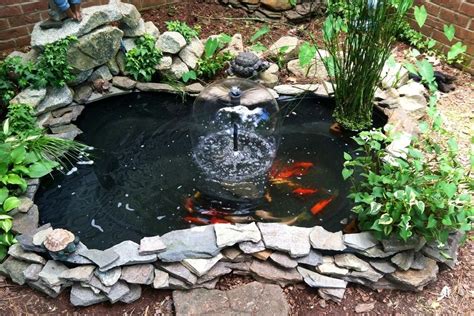 Outdoor Fish Ponds Small Backyard Ponds Small Ponds Backyard Ideas
