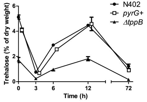 Concentration Of Trehalose During Outgrowth Of Wild Type Pyrg And Download Scientific