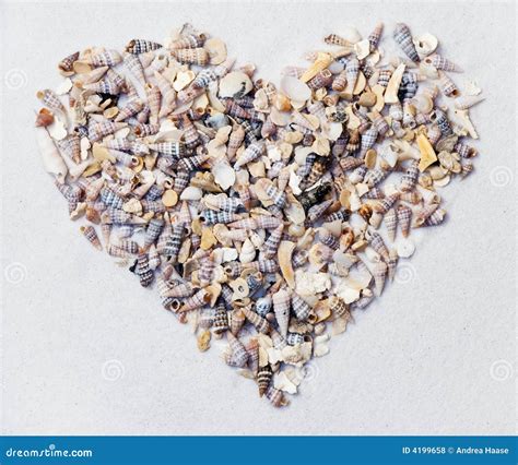 Heart Made From Sea Shells Stock Photo Image Of Shells 4199658
