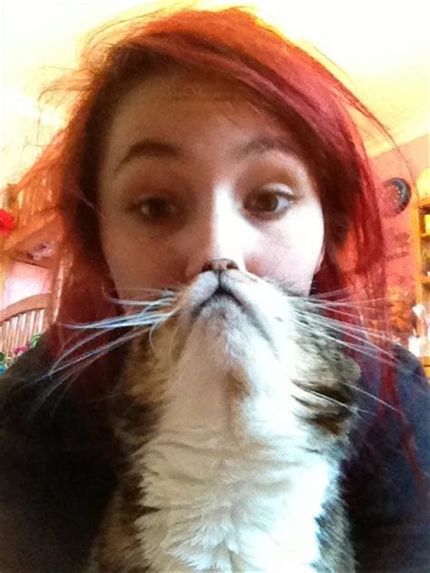 Cat Beard Memes 23 Dump A Day