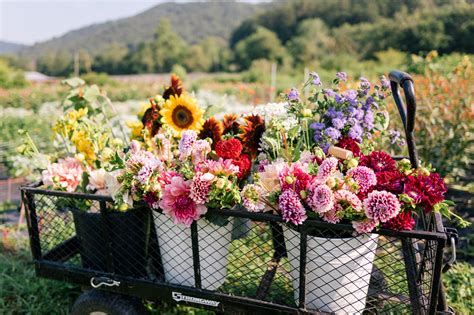 Gal Meets Glam This Flower Farm Will Make You Want To Be A Flower