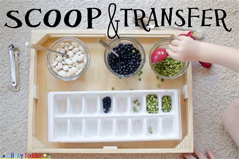 Scoop And Transfer Busy Toddler