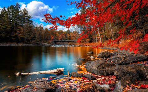 10 Latest Beautiful Fall Scenery Background Full Hd 1920×1080 For Pc