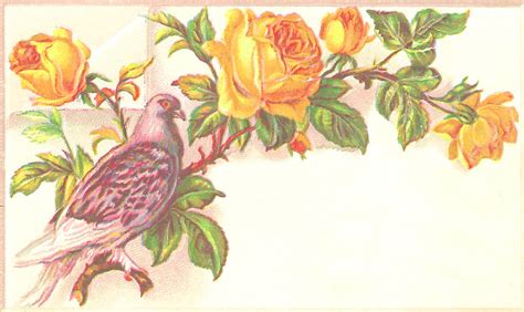 Antique Images Free Printable Label Design Yellow Rose