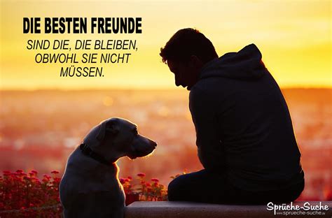 Sammlung sprüche mit bis zu 59. Die besten Freunde Hund und Mensch - Sprüche-Suche