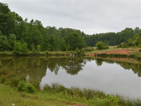 Located near lake o the pines, this recreational ranch for sale offers a hunters paradise. 42.63 Acres Fenced Pasture Wit : Land for Sale in ...