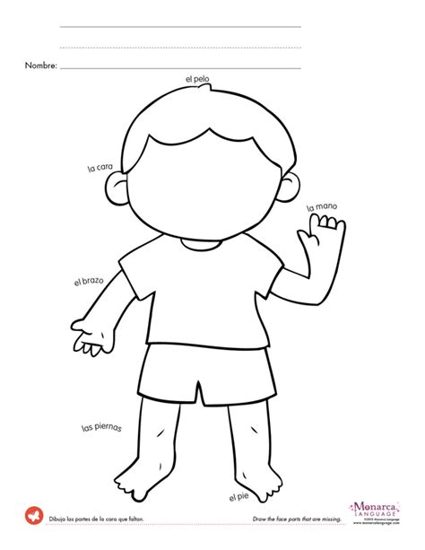 (20 minutes) have students work in pairs and trace each other. Body Parts: 4s Printables