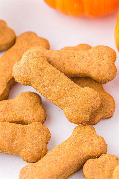 Easy Homemade Pumpkin Dog Treats Recipes Besto Blog