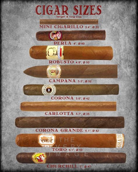 Cigar Art Cigar Size Chart Cigar Poster Tobacco Print Etsy Canada