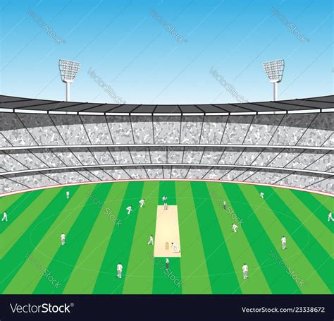 Cricket Game Sports Stadium Vector Download A Free Preview Or High