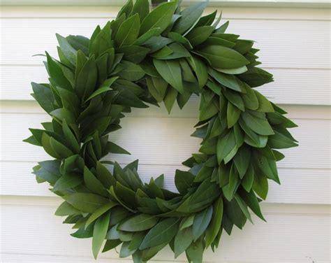 Fresh Bay Leaf Wreath 15 Winter Home Decor Herbal Cooking Soups Natural Herbs Crafts
