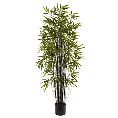See more ideas about bamboo, bamboo in pots, bamboo garden. Nearly Natural Black Bamboo Tree in Pot | Bambou en pot ...