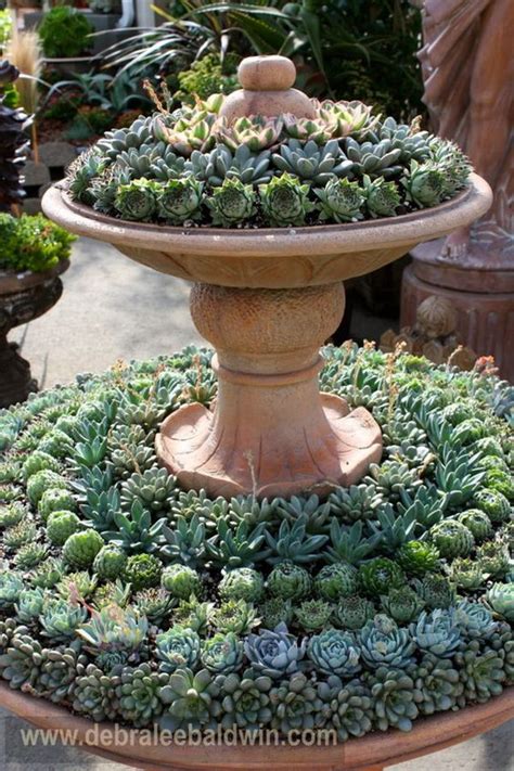 Sustainable design, eucalyptus, billabongs, water conservation, recycling, weird plants, and more. Creative Indoor And Outdoor Succulent Garden Ideas 2017