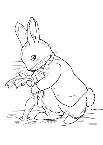The rabbit on page 8 is hopping through the grass in front of a fence, enjoying the beautiful outdoors. Peter Rabbit Stealing Carrots coloring page ...