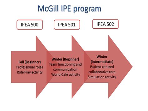 ipe courses office of interprofessional education mcgill university