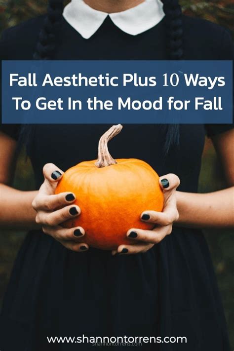 Fall Aesthetic Plus 10 Ways To Get In The Mood For Fall Get In The