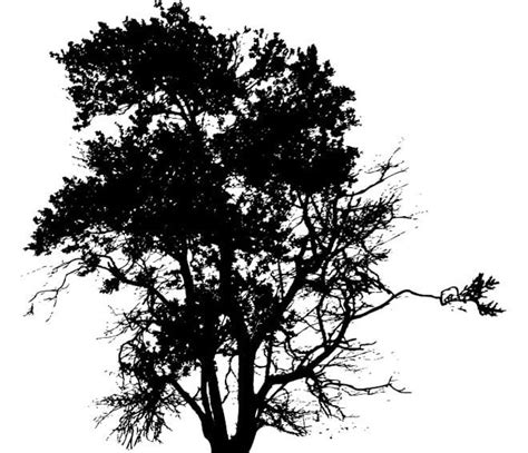 Tree Silhouette Vector Eps Uidownload