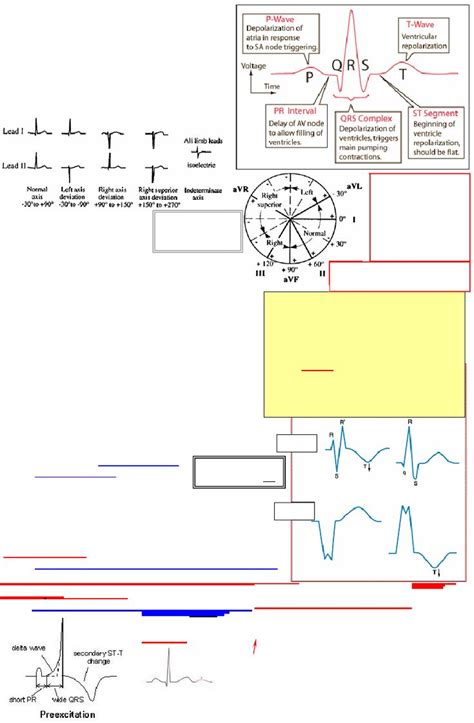 Ecg Interpretation Cheat Sheet Scribd Ecg Need It