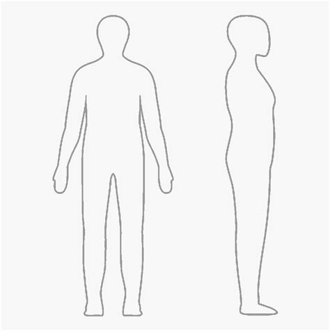 Body Outline Front And Side Free Transparent Clipart Clipartkey