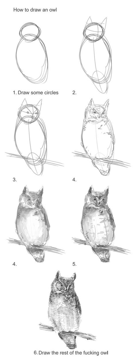 How to draw cute cartoon circle penguin. Pin by wanda williard on If I were to get a tattoo... | Owls drawing, Animal sketches, Animal ...