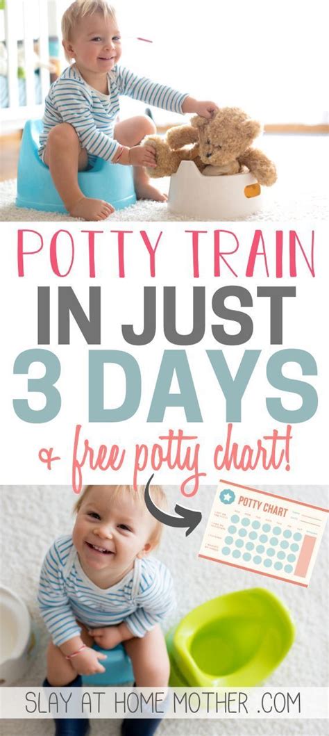 Potty Training In 3 Days Free Potty Chart Potty Chart Potty
