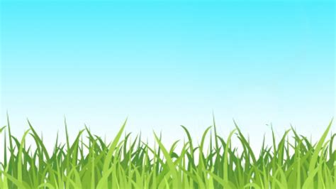 77 Animated Grass Images Download 4kpng