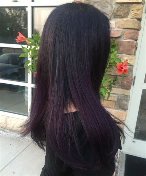 My Hair Midnight Purple Ombré Hair Color For Black Hair Hair Tint