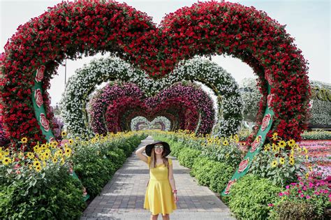 22 Reasons To Visit The Dubai Miracle Garden The Little
