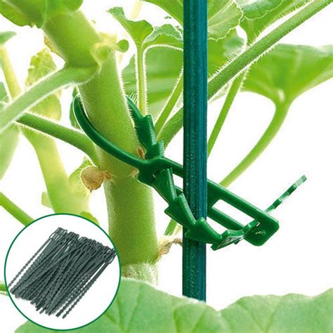 50pcs Reusable Garden Plastic Plant Cable Ties Tree Climbing Support