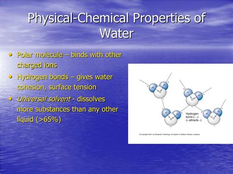 Ppt Introduction To The Marine Environment Powerpoint Presentation