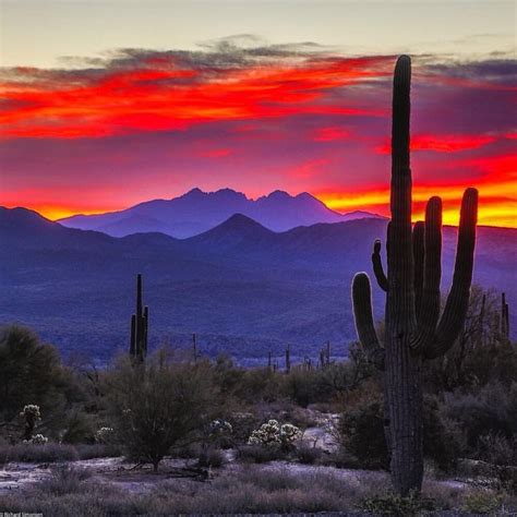 Desert Sunset Desert Painting Arizona Landscape Arizona Sunset
