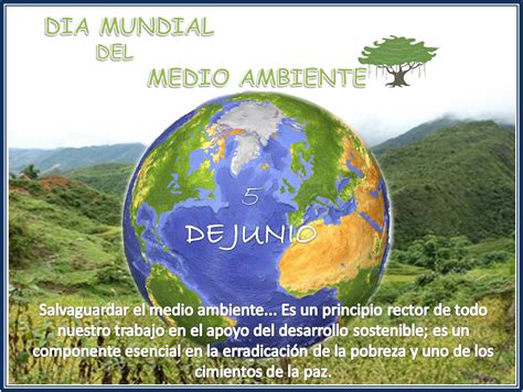 Reflejos De Luz Día Mundial Del Medio Ambiente 5 De Junio