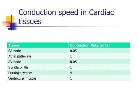 Ppt Cardiac Electric Activity Conducting System Powerpoint