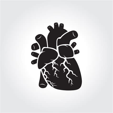 Heart Anatomy Symbol 556726 Vector Art At Vecteezy