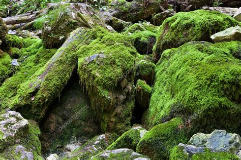 Huge Mossy Boulders Stock Photo By ©xalanx 12096782
