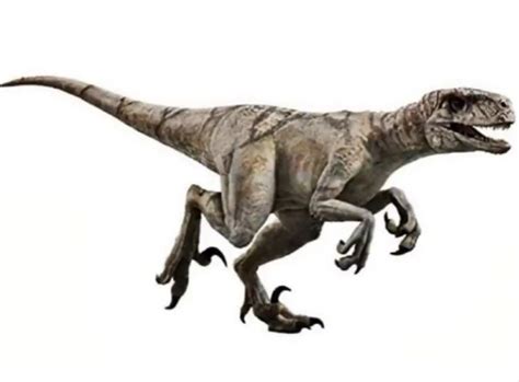 Ghost Is A Presumably Antagonistic Atrociraptor Soon To Make Her Debut In Jurassic World