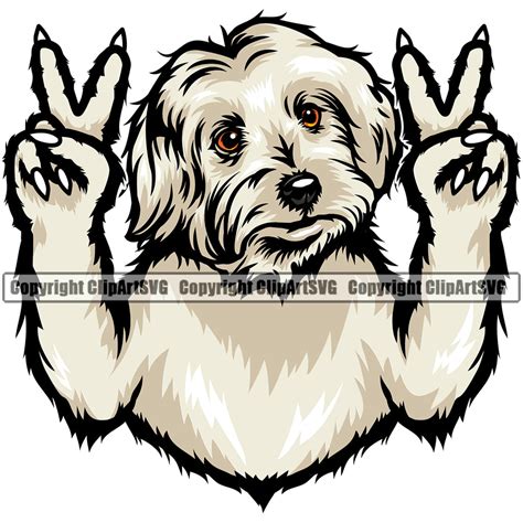 Maltese Dog Peace Hand Sign Design Element Puppy Pup Head Purebred