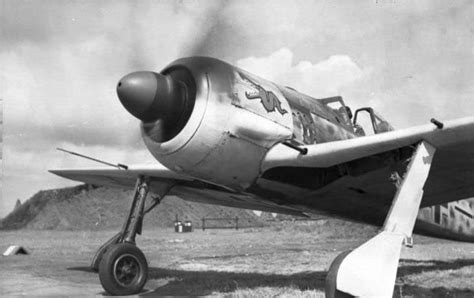 Focke Wulf Fw 190 The Butcher Bird Of Wwii Disciples Of Flight