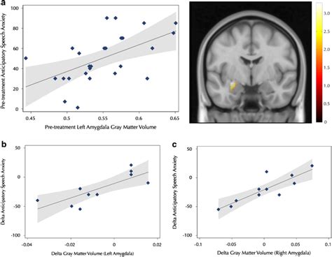 Brain Behavior Correlations Showing That A Pre Treatment Gray Matter