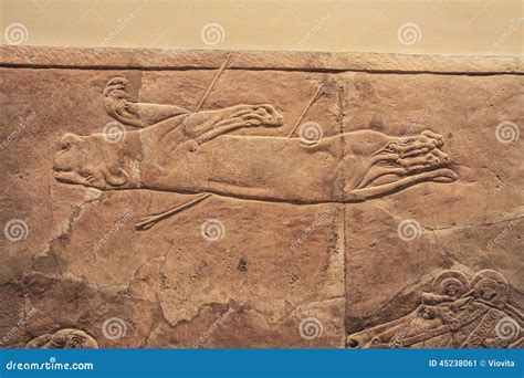 Old Assyrian Relief Of A Lion Beig Hunted Stock Image Image Of
