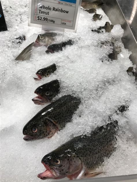 Proper Thawing Prolongs Freshness Of Frozen Fish Aquaculture North