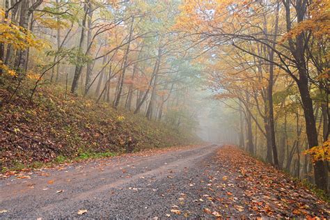 Misty Autumn Forest Road By Boldfrontiers On Deviantart