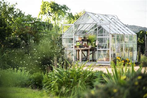 Benefits Of Growing A Backyard Greenhouse You Need To Know