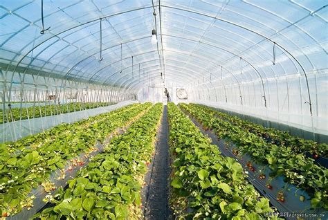 Solution1 Smart Temperature Control In Greenhouses Cities