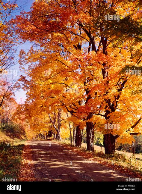 Autumn Country Road Stock Photo Alamy